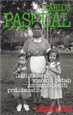 O služkinjah, visokih petah in izgubljenih priložnostih (Paperback)