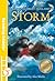 Storm (Reading Ladder Level 3)
