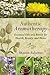 Authentic Aromatherapy by Sharon Falsetto