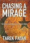 Chasing a Mirage:...