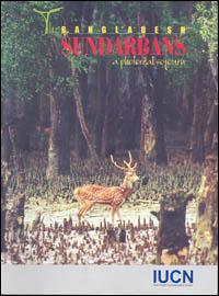The Bangladesh Sundarbans: A photoreal sojourn