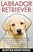 Labrador Retriever: The Ultimate Labrador Puppy Training Guide, Potty Training, Discipline And Care Tips! (Retrievers, Labrador Dogs, Labrador Puppy Training)