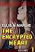 ENCRYPTED HEART - Part one (Romance, love ,Short Stories): New Adult, Contemporary, Male, Step Brother, Temping, Adult, Taboo
