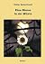 Eine Blume in der Wüste (German Edition)