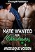 Mate Wanted for Christmas by Angelique Voisen