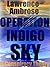 Operation Indigo Sky: A Con...