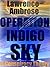 Operation Indigo Sky: A Conspiracy Theory