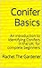 Conifer Basics: An introduction to identifying Conifers in the UK: for complete beginners (Botany Basics)