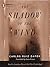 The Shadow of the Wind (The Cemetery of Forgotten Books,  #1)