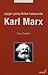 Yaygın Yanlış Fikirler Kıskacında Karl Marx