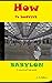 How to Survive Babylon: A natural self help guide (Black Survivor Series Book 1)