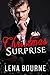 Christmas Surprise