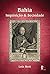 Bahia: inquisição & sociedade