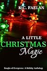A Little Christmas Magic