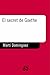 El secret de Goethe by Martí Domínguez Romero