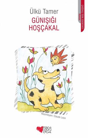 Günışığı Hoşçakal (Paperback)