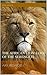The African Lion - Lord of the Serengeti: Apex Predators I