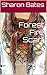 Forest Fire Scarf: hope for...