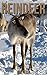 Reindeer: Children Book of ...