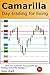 Camarilla day trading for living: One can make far more profits by trading Camarilla Swings...