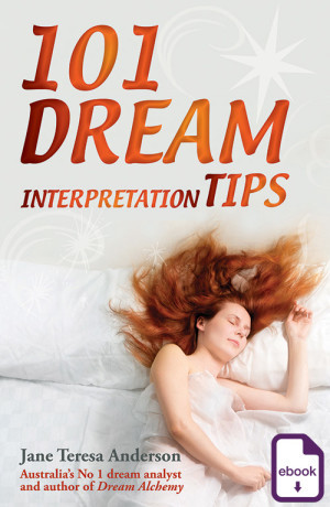 101 Dream Interpretation Tips (Paperback)