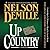 Up Country (Paul Brenner #2)
