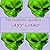 The Complete Guide to Ayy Lmao