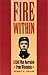 Fire Within: A Civil War Narrative from Wisconsin