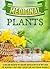 Medicinal Plants: Learn and Discover the Amazing Hidden benefits of Why these Top Medicinal Plants Cure Illnesses and Treat Disease Naturally (medicinal ... herbs for beginners, natural remedies)