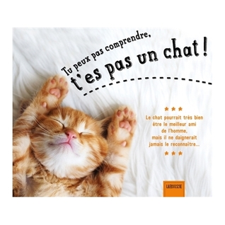 Tu peux pas comprendre, t'es pas un chat !