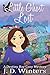 Little Ghost Lost (Destiny Bay Cozy, #5) by J.D. Winters
