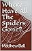 Where Have All The Spiders ...
