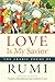 Love Is My Savior: The Arabic Poems of Rumi