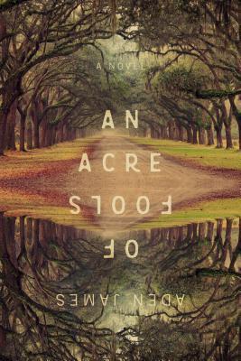 An Acre of Fools (Paperback)