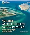 Wildes Mecklenburg Vorpommern Bilder Einzigartiger Naturschätze
