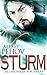 Sturm: Die Chroniken von Hara 4