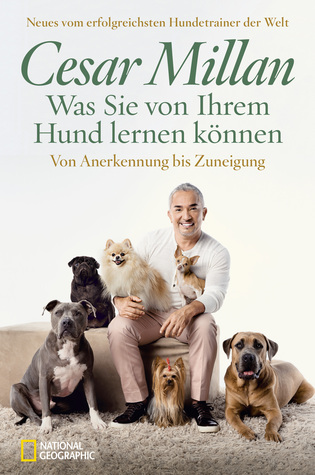 Was Sie von Ihrem Hund lernen können: Von Anerkennung bis Zuneigung