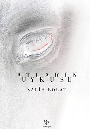 Atların Uykusu
