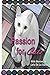 Passion for Cats