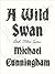 A Wild Swan: And Other Tales