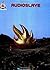 Audioslave Songbook by Audioslave