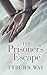 The Prisoner's Escape