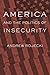 America and the Politics of Insecurity (Themes in Global Social Change)
