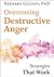 Overcoming Destructive Anger: Strategies That Work