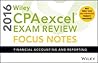 Wiley CPAexcel Ex...
