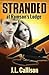 Stranded at Romson's Lodge (Morgan James Fiction)