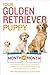 Your Golden Retriever Puppy Month By Month