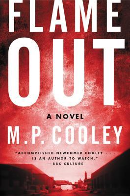 Flame Out: A Novel (The June Lyons Series, 2)
