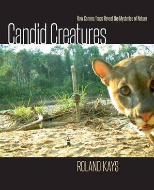 Candid Creatures: How Camera Traps Reveal the Mysteries of Nature (Hardcover)
