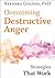 Overcoming Destructive Ange...